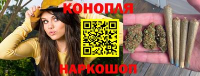СК Заводоуковск