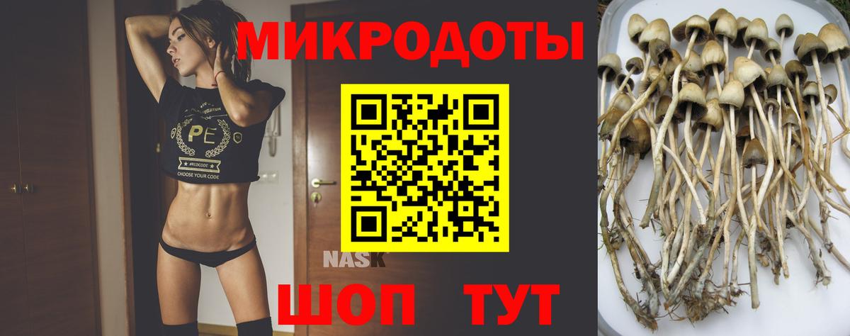 Псилоцибиновые грибы Cubensis Минеральные Воды