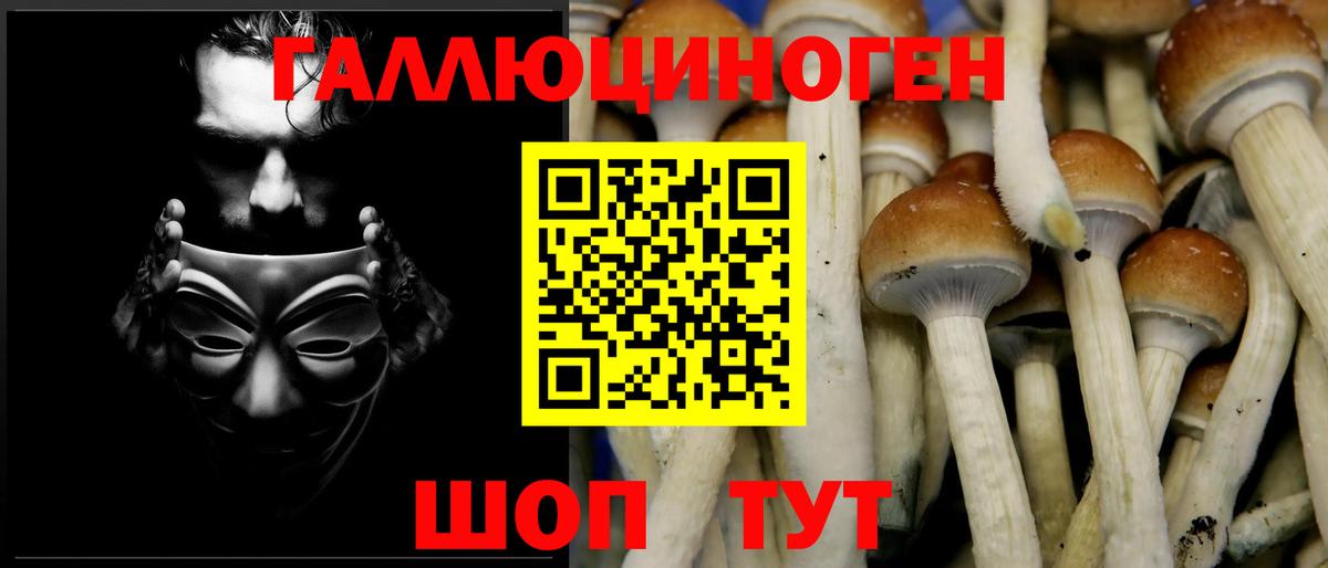 Галлюциногенные грибы прущие грибы  Вход с VPN  Минеральные Воды  Псилоцибиновые грибы прущие грибы 